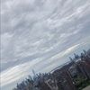 silvernshine